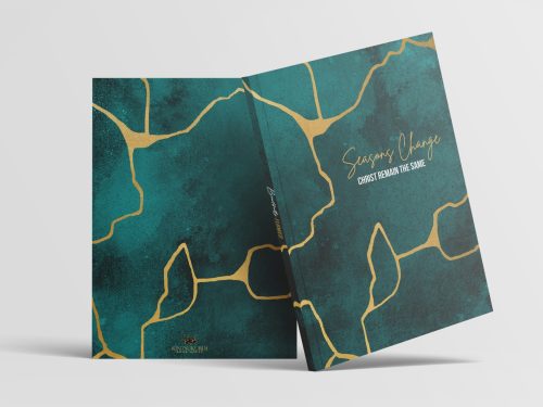 Beautifully Flawed Spring Journal